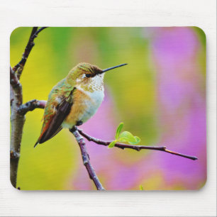 Tjock lille Hummingbird Musmatta