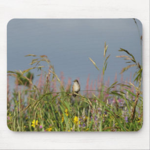 Tjock lille Hummingbird Musmatta
