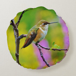 Tjock lille Hummingbird Rund Kudde