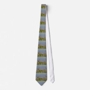 Tjock lille Hummingbird Slips