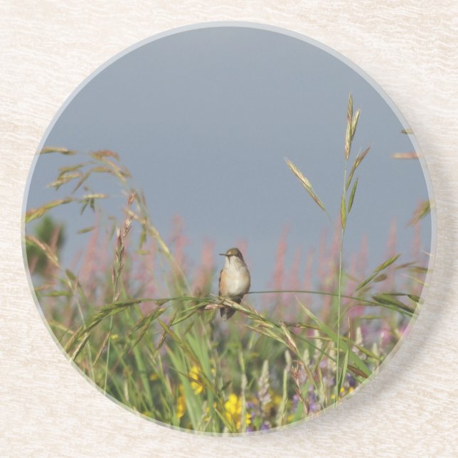 Tjock lille Hummingbird Underlägg Sandsten (Framsidan)