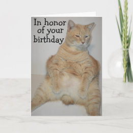 Tjock Manx Cat Sitta Funny Birthday Card Kort