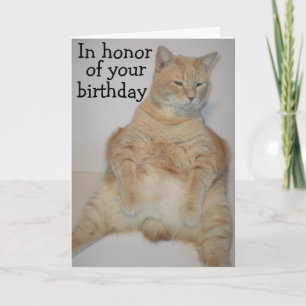 Tjock Manx Cat Sitta Funny Birthday Card Kort