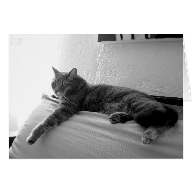 Tjock Tabby katt Hälsningskort (Framsidan Horizontal)
