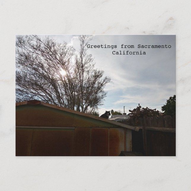 Tjock Vykort (Framsida)