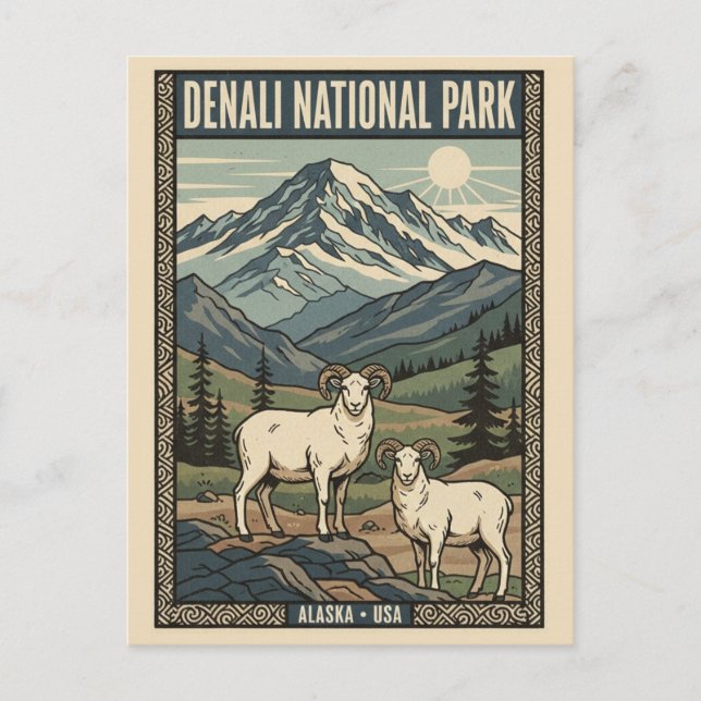 Tjockhornsfår i Denali National Park Alaska Vykort (Framsida)