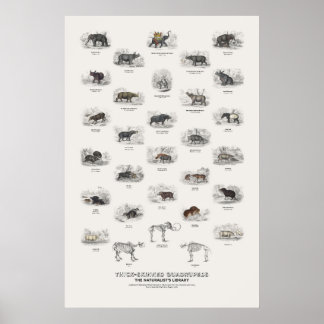 Tjockhudade fyrfotadjur - Naturalistens bibliotek Poster
