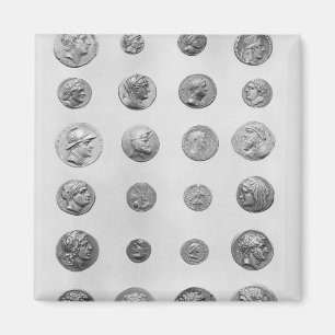 Tjugo fyra mynt magnet