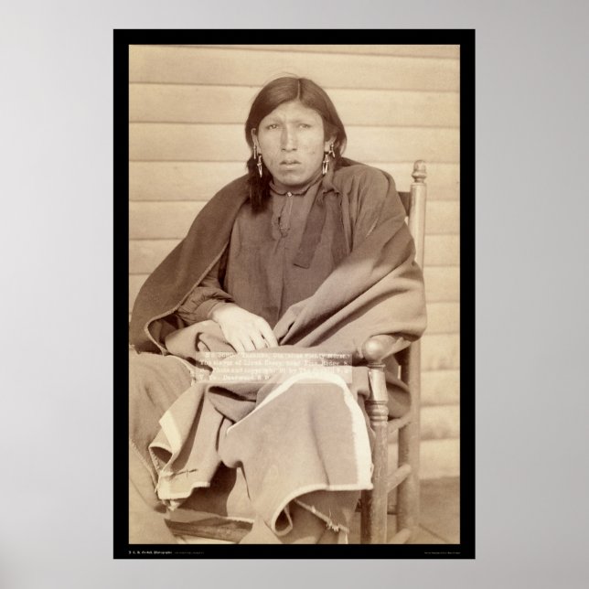 Tjugohästar, skikt av löjtnant Casey SD 1891 Poster (Framsidan)