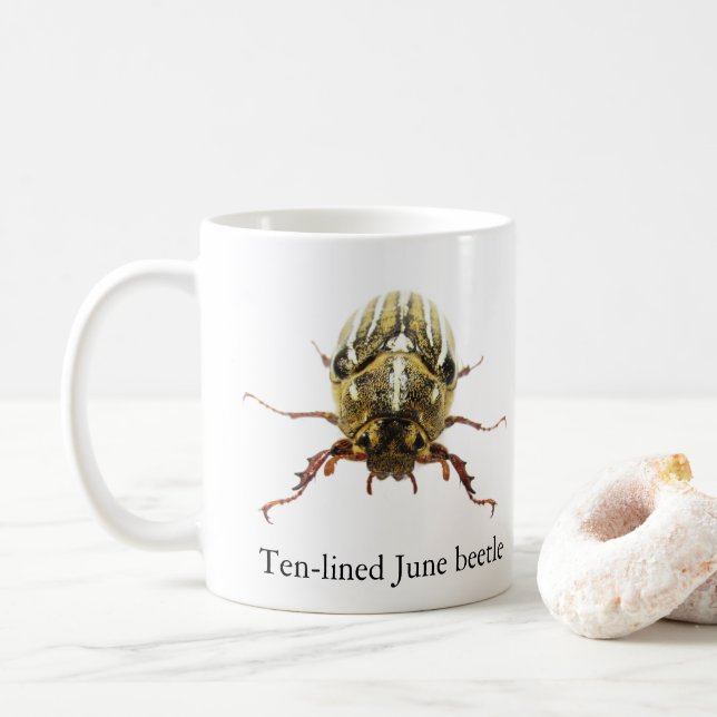 Tjugostreckad ollonborrs-mugg kaffemugg (Med munk)