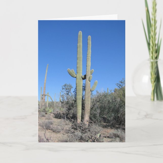 Tjuny Cactus-årskort Kort (Framsida)