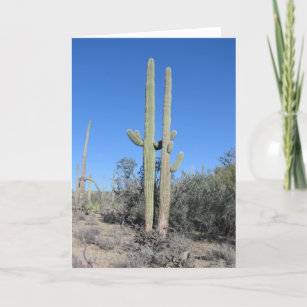 Tjuny Cactus-årskort Kort