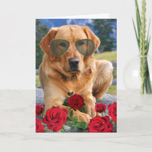 Tjunyårsdag för frun Golden Labrador Kort