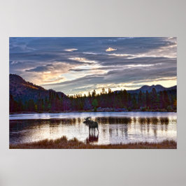 Tjur Älg vid Sprague Lake, Colorado Poster