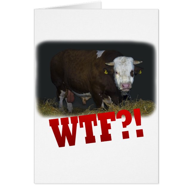 tjur hälsningskort (Framsidan)