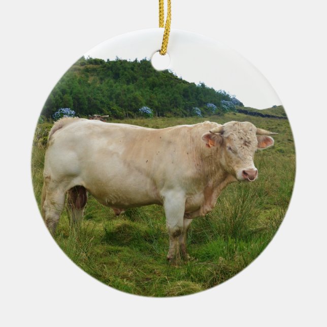 Tjur Julgransprydnad Keramik (Framsidan)