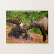 Tjur och ko Älg Alaska. Julhälsningar