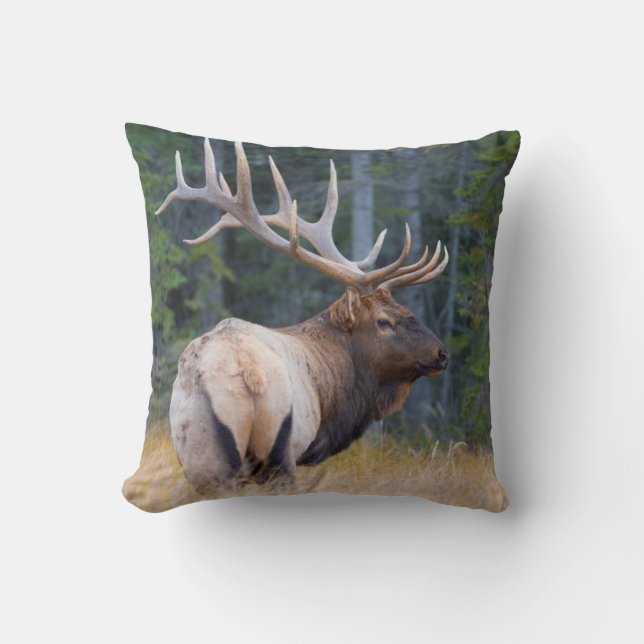 Tjur Rocky Mountain Elk Kudde (Framsida)