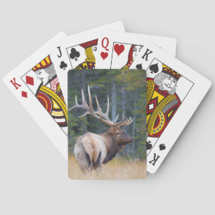 Tjur Rocky Mountain Elk Spelkort