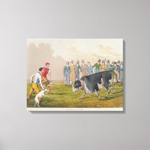 "Tjur som agnar", pub.by Thomas McLean, 1820, Canvastryck