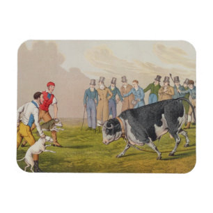 "Tjur som agnar", pub.by Thomas McLean, 1820, Magnet