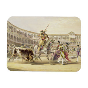 Tjur som laddar en Picador, 1865 (färglithoen) Magnet