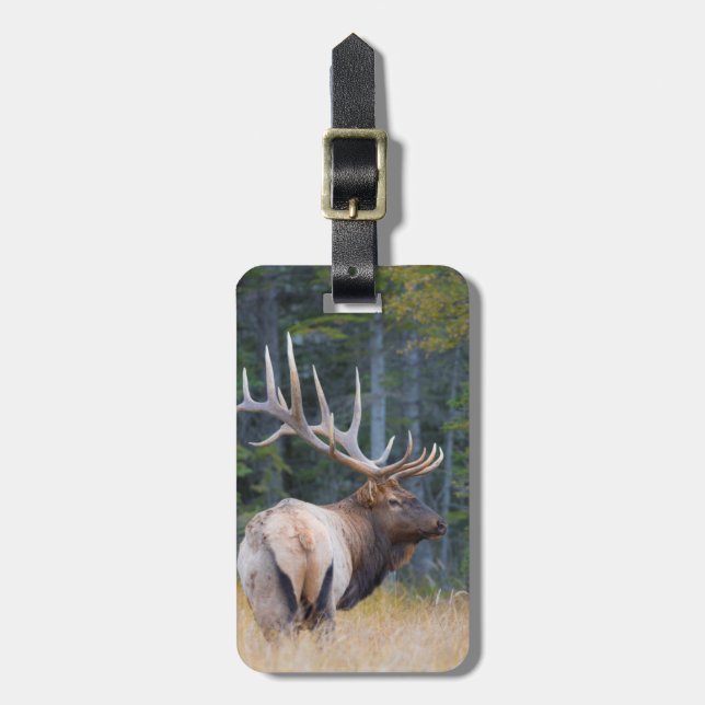 Tjur Wapiti Bagagebricka (Vertikal Framsida)