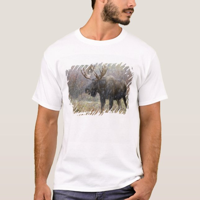 Tjurälg i snöstorm med asp-träd t shirt (Framsida)