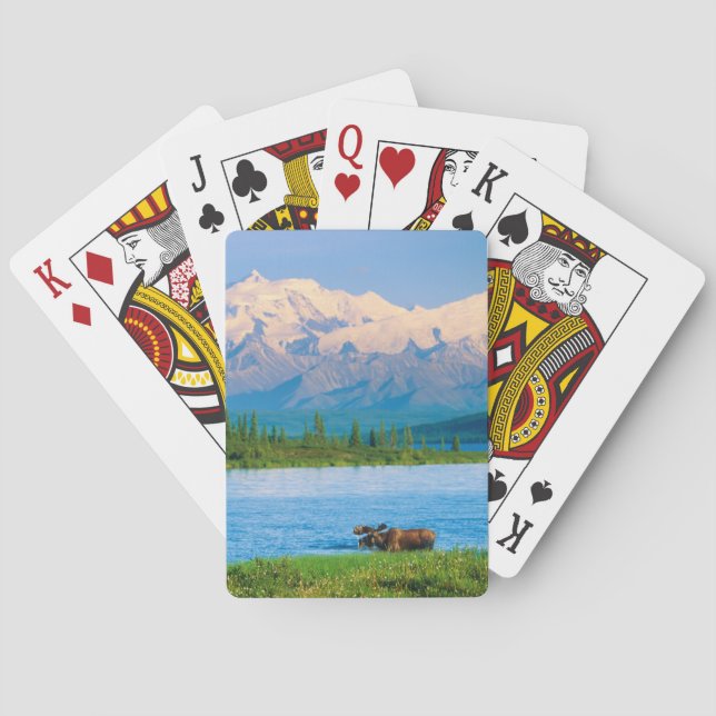 Tjurälg i Wonder Lake Casinokort (Baksidan)
