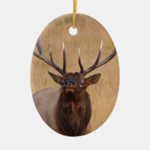 tjurälg julgransprydnad keramik