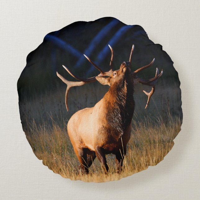 Tjurälg med huvudbaksida rund kudde (Baksidan)