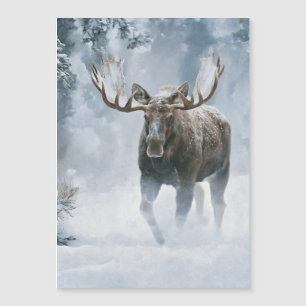 Tjurälg som går genom boreal snö