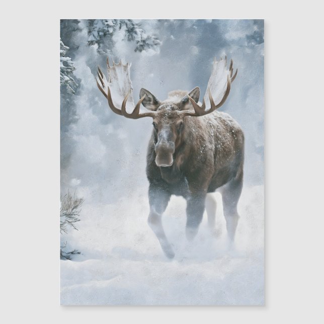 Tjurälg som går genom boreal snö (Framsida)