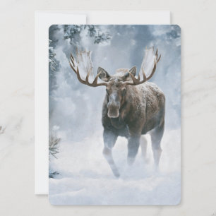 Tjurälg som går genom boreal snö