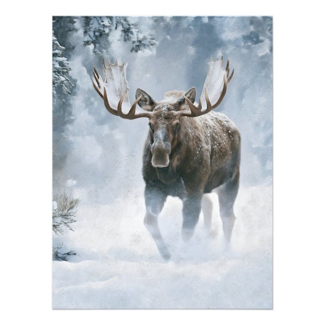 Tjurälg som går genom boreal snö fototryck (Framsidan)