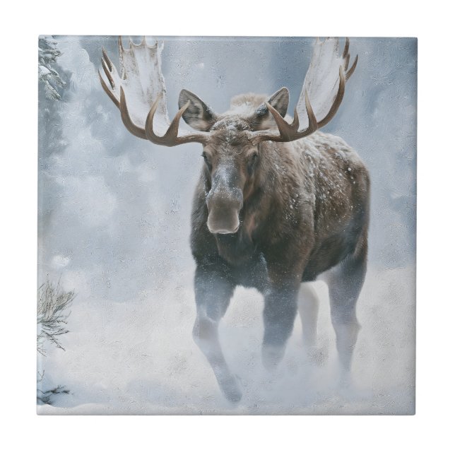 Tjurälg som går genom boreal snö kakelplatta (Framsidan)