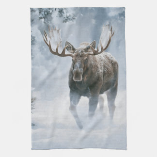 Tjurälg som går genom boreal snö kökshandduk