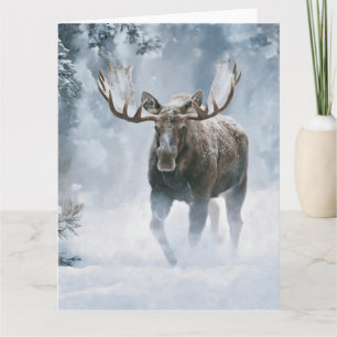 Tjurälg som går genom boreal snö kort