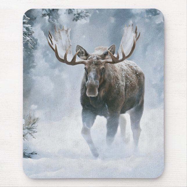 Tjurälg som går genom boreal snö musmatta (Framsidan)