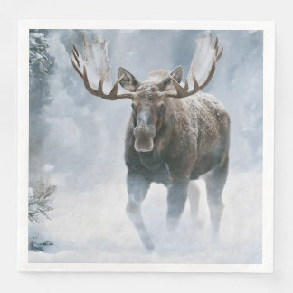 Tjurälg som går genom boreal snö pappersservett