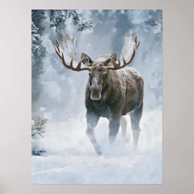 Tjurälg som går genom boreal snö poster (Framsidan)