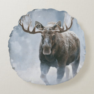 Tjurälg som går genom boreal snö rund kudde