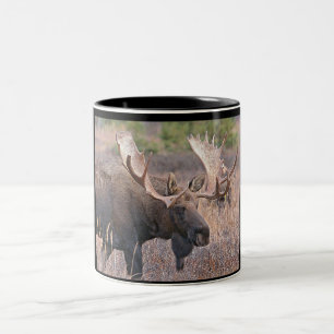 Tjurälg Två-Tonad Mugg