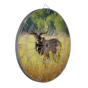 TjurälgDartboard Darttavla