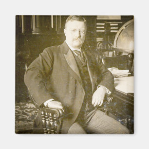TjurälgTeddy Roosevelt vintage Magnet