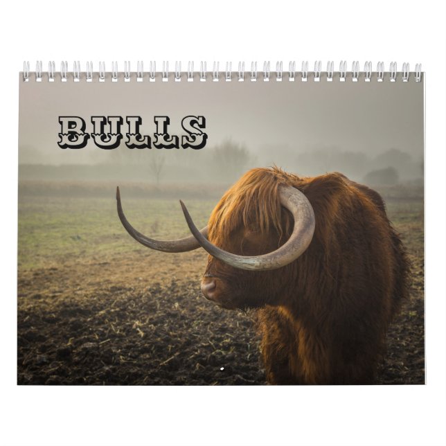 Tjurar Kalender (Omslag)