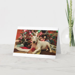 Tjurborre christmas helgkort