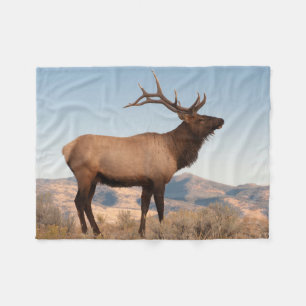 Tjurdjur Nära Mammoth Wyoming Fleecefilt