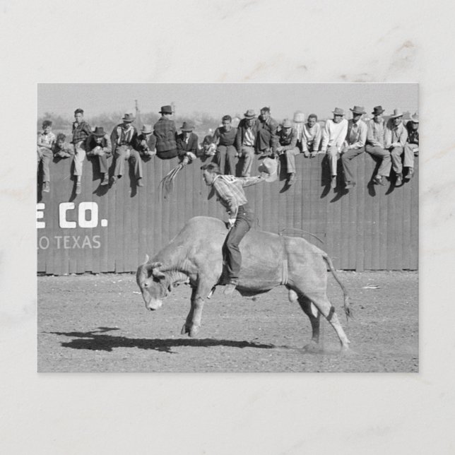 Tjurfäktare, 1940 vykort (Framsida)