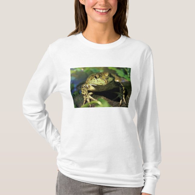 Tjurfrosk. Tee Shirt (Framsida)